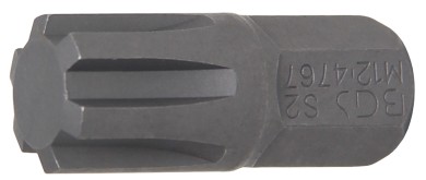 Ponta | Comprimento 30 mm | Entrada de sextavado externo 10 mm (3/8") | Perfil da cunha (para RIBE) M12 