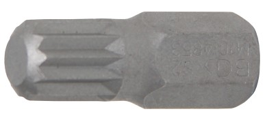Ponta | Comprimento 30 mm | Entrada de sextavado externo 10 mm (3/8") | Dente interno polivalente (para XZN) M10 
