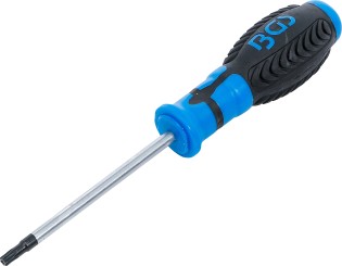 Chave de parafusos | Perfil T (para Torx) com perfuração T27 | Comprimento da lâmina 100 mm 