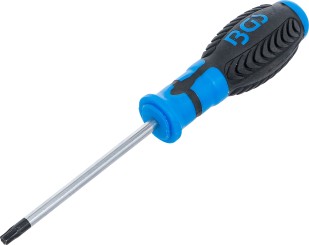 Destornillador | perfil en T (para Torx) con perforación T30 | Longitud de cuchilla 100 mm 