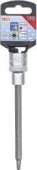 Dopsleutelbit | 12,5 mm (1/2") | T-profiel (voor Torx) T30 