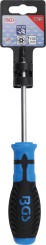 Skruvmejsel | T-Profil (för Torx) med borrning T25 | Klinglängd 100 mm 