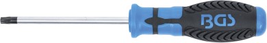 Skruvmejsel | T-Profil (för Torx) T30 | Klinglängd 100 mm 