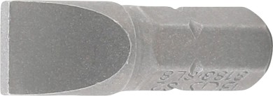 Punta | longitud 25 mm | entrada 6,3 mm (1/4") | plana 8 mm 